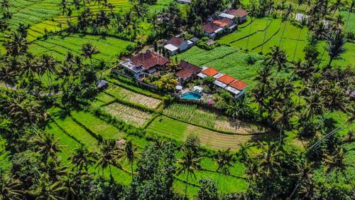 Bebandem Villa | Dana Bali Ricefield Villa