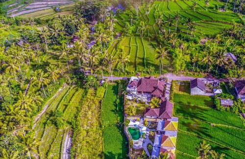 Bebandem Villa | Dana Bali Ricefield Villa