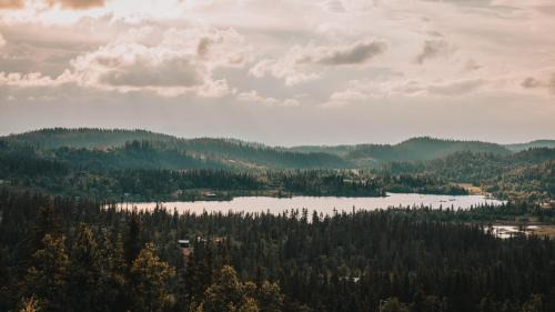 Nord-Aurdal Hotel | Danebu Kongsgaard - Boutique Hotel