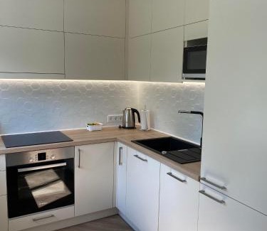 Druskininkai Apartment | DanGinta