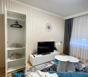 Panevezys Apartment | Dani apartment