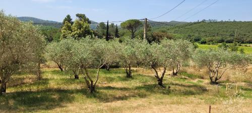 Clermont-l'Herault House | Dans la nature, villa de Standing avec piscine chauffée, jaccusi extérieur