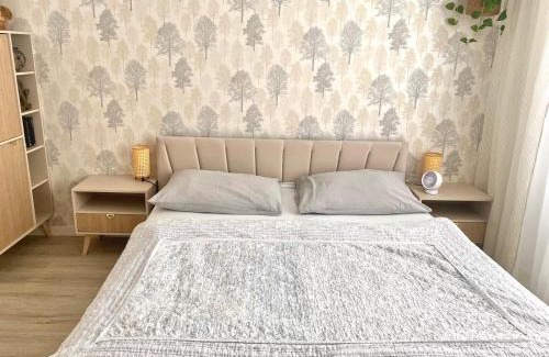 Samorin Apartment | Danube12