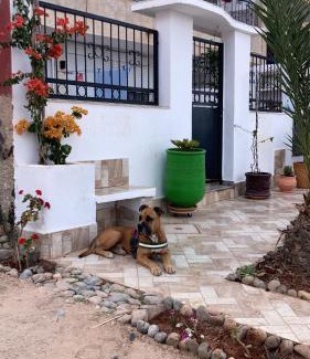 Ras Kebdana Apartment | Dar Hachemia
