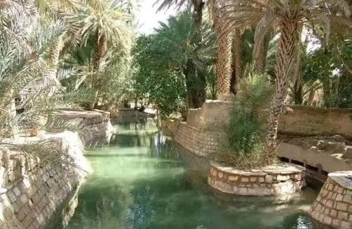 Nefta House | Dar Kamal