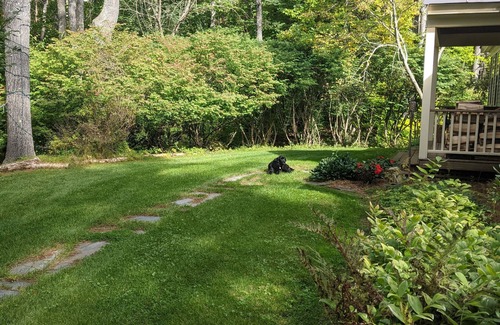 Hanover House | Dartmouth Graduation! In town, room to relax!