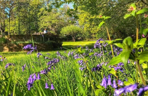 Broad Oak Apartment | Daweswood Guest Suite - luxury retreat & hot tub.