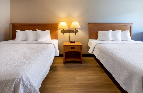 Birch Run Hotel | Days Inn by Wyndham Birch Run