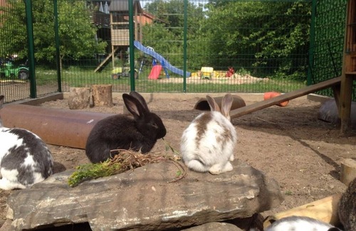 Marxen am Berge Apartment | Picturesque farm in the Lüneburg Heath, holiday apartment, pony rides