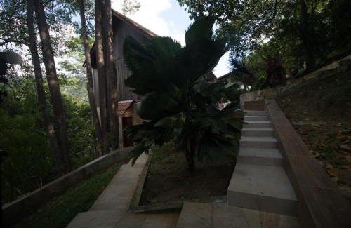 Pantai Bed & Breakfast | De Serenity - Exclusive Jungle Retreat