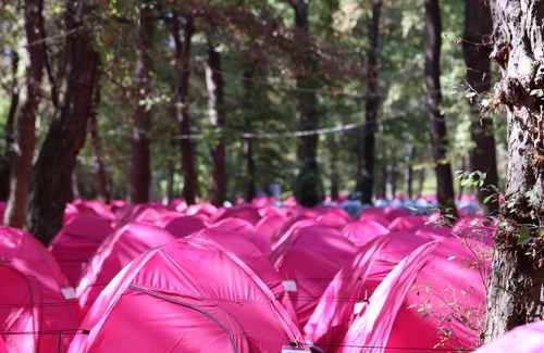 Thalkirchen Other | Camping ∙ 127 guests