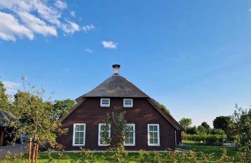 Wanneperveen Bed & Breakfast | De WiedenWeide