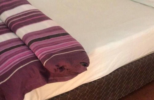Chipata Hostel | Deans Hillview Backpackers - Hostel