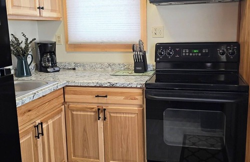 Iron River Apartment | Deer Trail Resort Lakeside 4 on Lake Delta