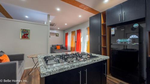 Vieux Fort Quarter Apartment | Deity Divine Suite - 12 min from UVF Airport