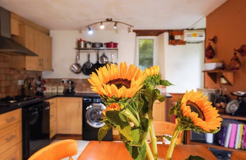 Glandyfi Cottage | Delfryn, Goginan