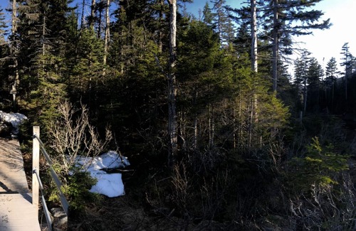 Delhi House | Delhi Tree House / 5 bedrooms. 5 Minutes from Downtown. 20 MinTo Oneonta.