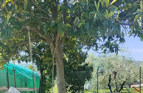 Santo Stefano di Magra House | Delightful detached cottage with garden between Versilia and Cinque Terre