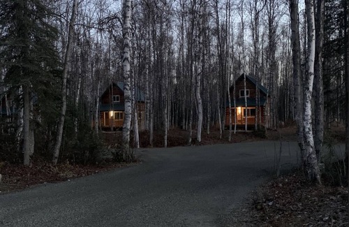 Willow Cabin | Delightful Cabin in Willow sleeps 3! Full Bathroom & Kitchen!