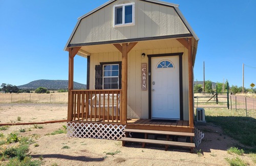 Young Cabin | Delightful, cozy mini cabin with 2 bedrooms