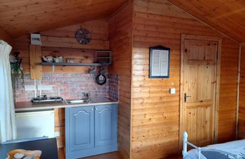 Clonroche Apartment | Delightful Studio Log Cabin , with Sauna