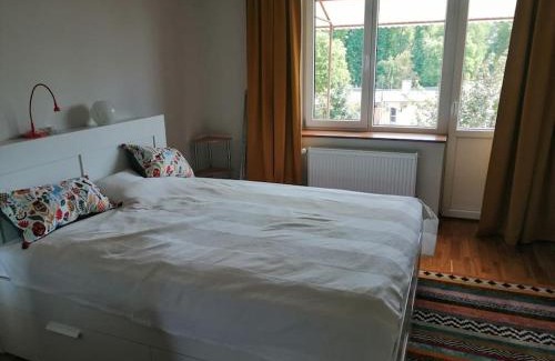 Odorheiu Secuiesc Apartment | Delightful - Színes és pihentető
