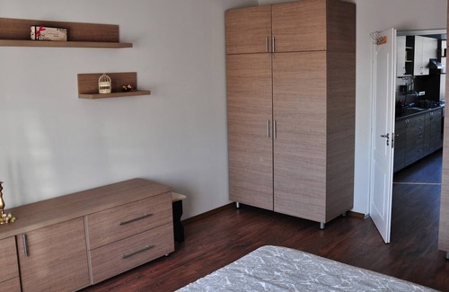 Baia Mare Apartment | Deluxe apartment with fully equipped kitchen, located in a house.