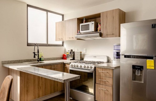 Zona Rosa Apartment | Deluxe PH with a Private Rooftop in a Top Location