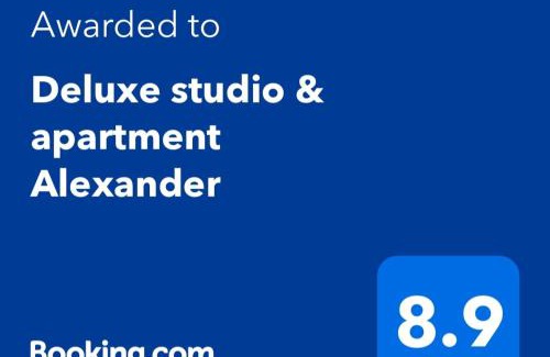 Cacak Apartment | Deluxe studio & apartments Alexander