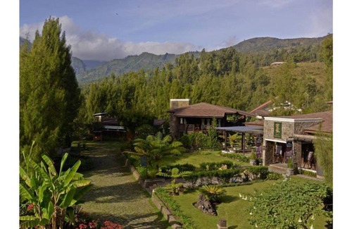 Ngadisari Apartment | Deluxe Twin room at Jiwa Jawa Bromo