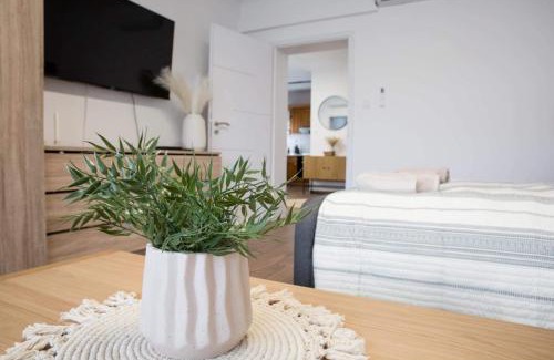 Sarospatak Apartment | DELUXHOME Sárospatak