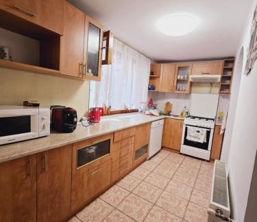 Chisinau Apartment | Dendro House