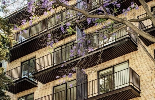 Zona Rosa Apartment | Depa en la Zona Cosmopolita de Cdmx