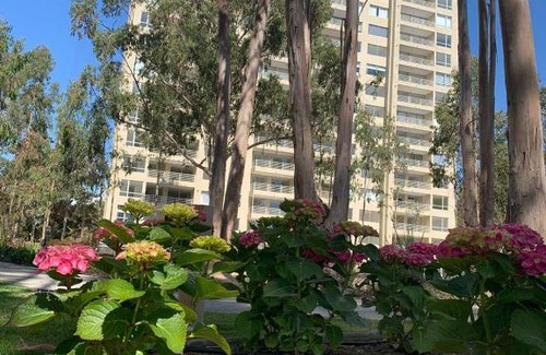 Mirasol Apartment | Departamento Algarrobo Los Olivos