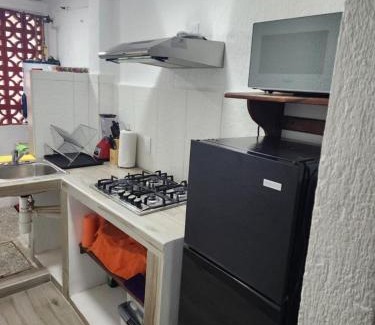 La Palapa Apartment | Departamento las palapas