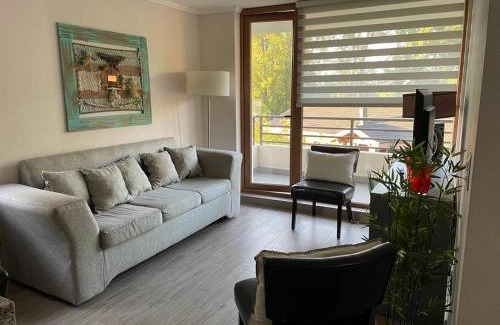 Pucon Apartment | Departamento Pucón - Parque Condominio Castaños de Alicura