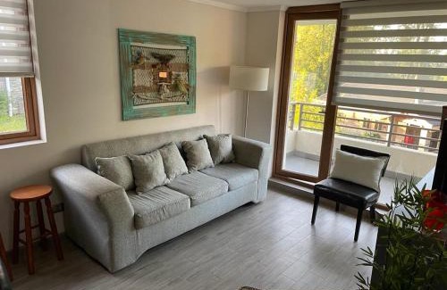 Pucon Apartment | Departamento Pucón - Parque Condominio Castaños de Alicura