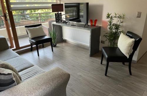 Pucon Apartment | Departamento Pucón - Parque Condominio Castaños de Alicura