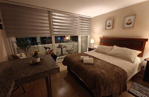 Chillan Apartment | Depto centro de chillan con estacionamiento