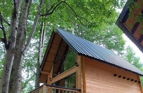 Rize Cabin | Dere Kenarı Orman içi dağ evi