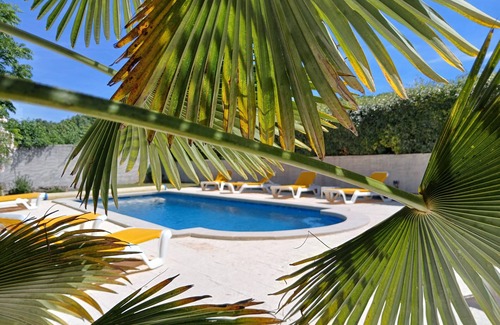 Plavilla House | Description of the gîte des Papillons