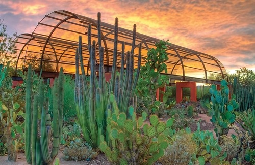 Chandler Apartment | Desert Botanical Garden Tour! THREE Convenient Units, Onsite Pool, Pet-friendly!