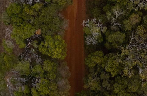 Scott River House | Designer off -grid tiny house in bushland near the coast and Margaret River