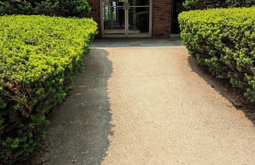 Newton Center Apartment | Desirable, spacious two-bedroom unit near Boston!