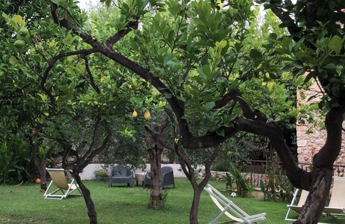 Mattinata Bed & Breakfast | Detached cottage in Mattinata, Gargano