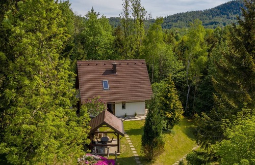 Lokve House | Detached house at 100m distance of the lake, surrounded by beautiful nature and with BBQ