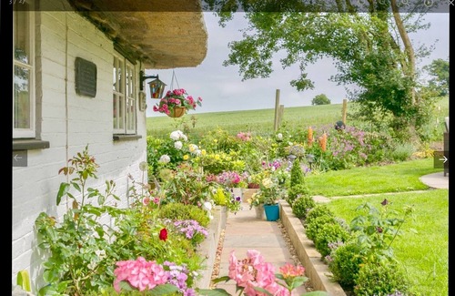 Ashford Cottage | Detached thatched cottage sleeping 2- 6 with its own luxurious hot tub