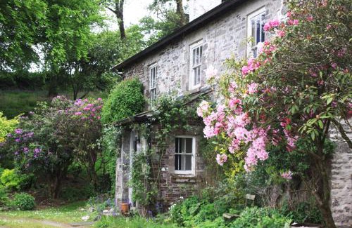 Saint Ann's Chapel Apartment | Devon Country Paradise