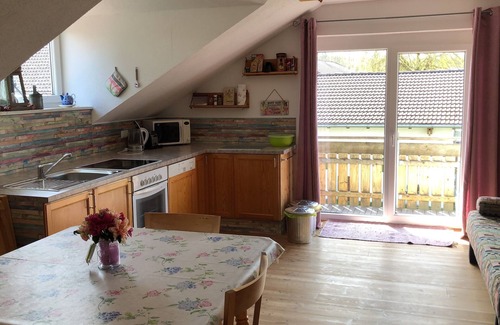 Sulzberg Apartment | Dexterzucht Allgäu, Rundflüge, Kutschfahrten, Großzügige Ferienwohnung