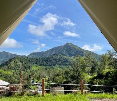 Kejajar Hotel | Dieng Latar Alam Tambi Syariah